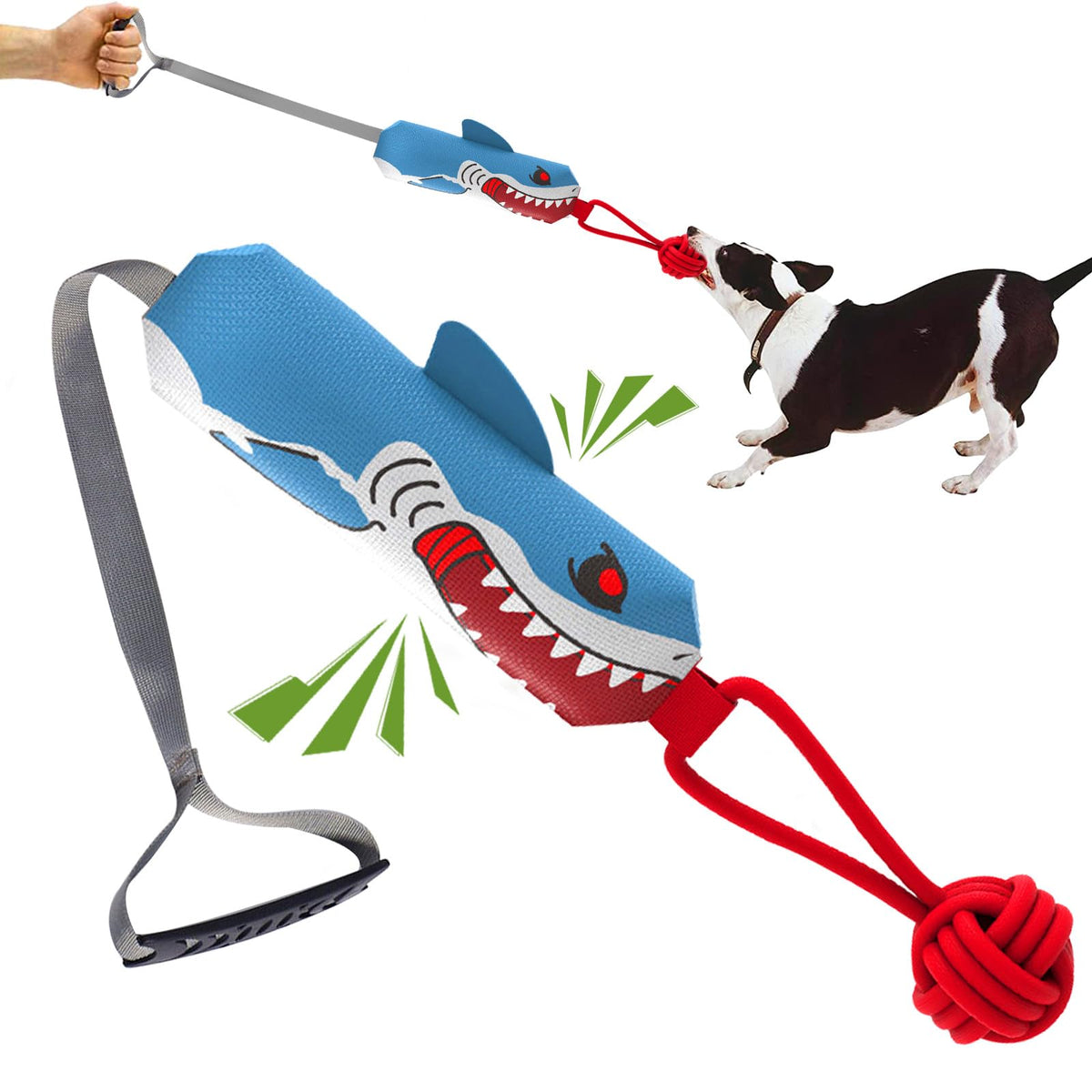 ETIAL shark face avant montrant le design résistant et attractif