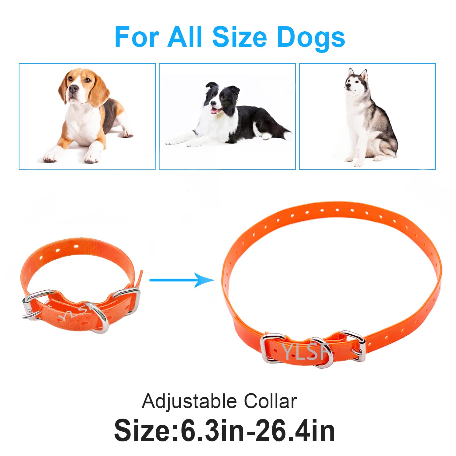 ETPET collier en usage sur chien offrant maintien sûr et confort