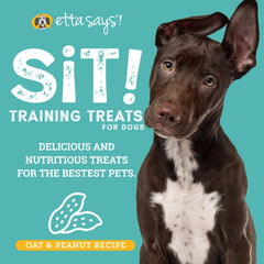 etta says! gros plan sur une friandise moelleuse montrant texture appétente