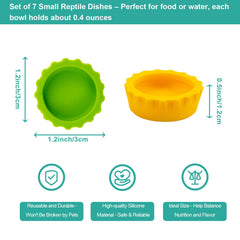 Eudimysx comparaison taille avec pièce montre contenance pratique et compacte