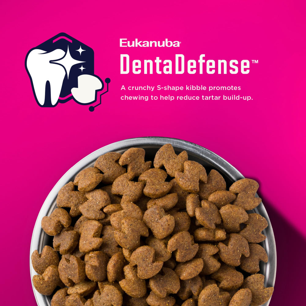 Eukanuba bol plein illustrant portion adaptée et appétence