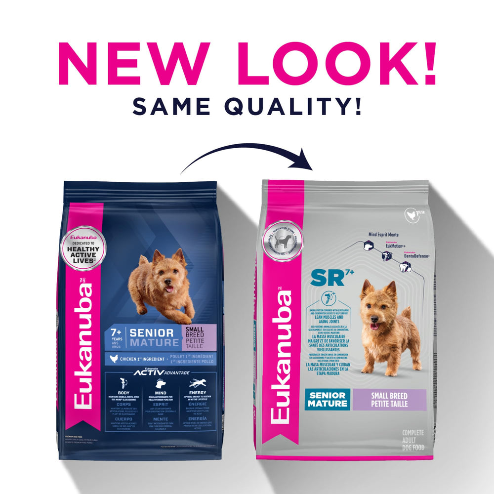 Eukanuba petit chien actif en extérieur montrant vitalité renouvelée