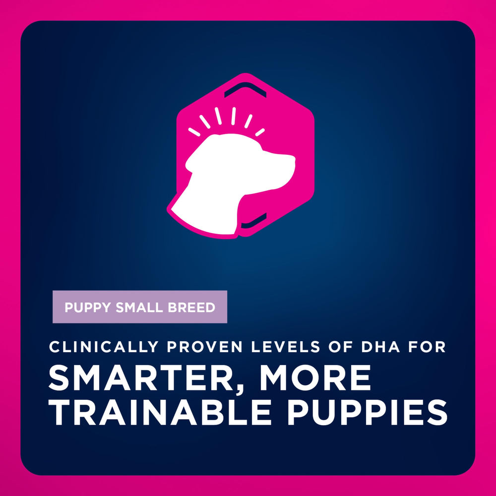 Eukanuba chiot en jeu illustrant vitalité et comportement actif