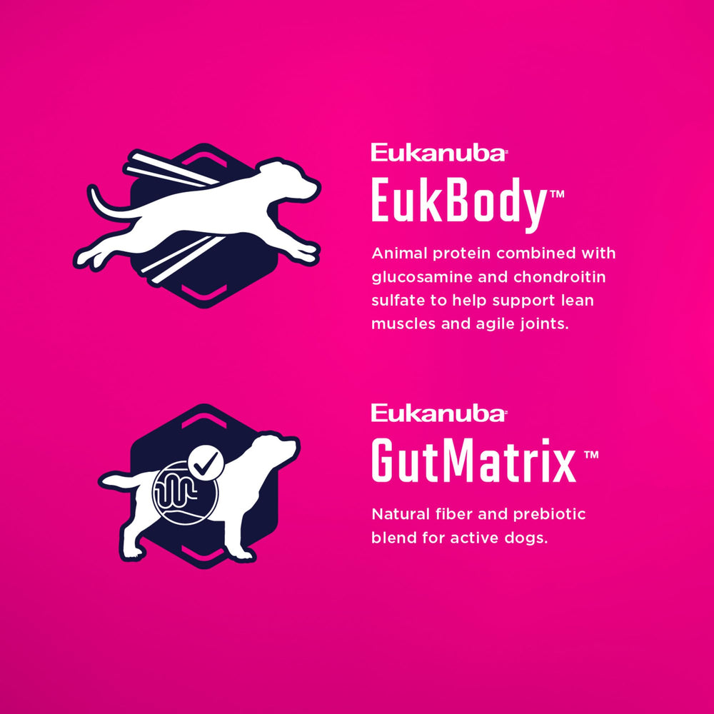 Eukanuba comparaison taille croquette avec une main, facilité de préhension