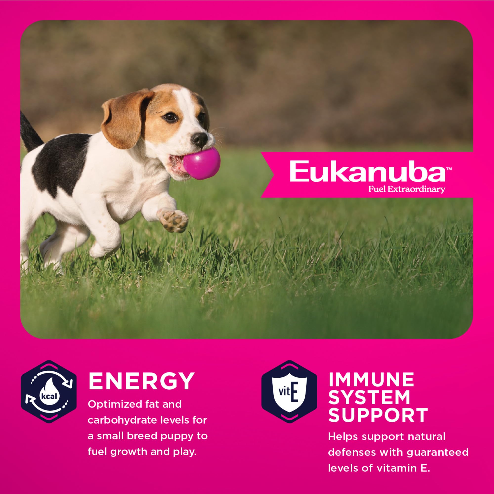 Eukanuba comparaison taille croquette dans une main pour portion adaptée