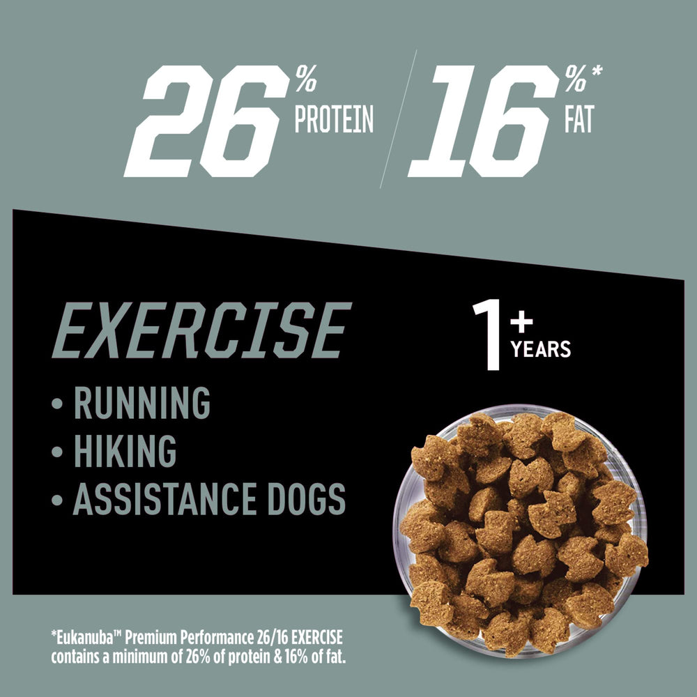 Eukanuba gros plan croquette montrant texture et appétence