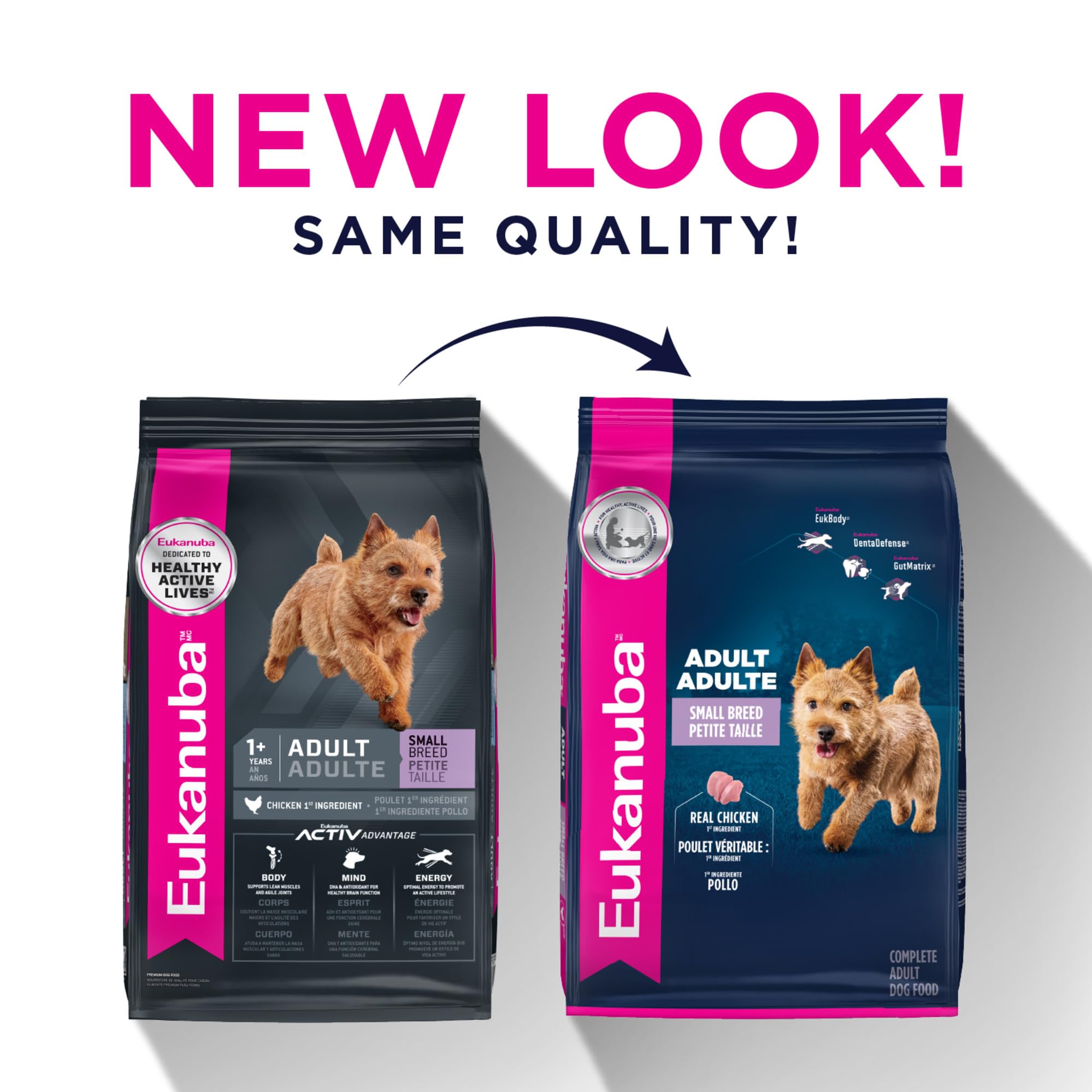 Eukanuba croquettes dans un plat illustrant la portion idéale pour petit chien
