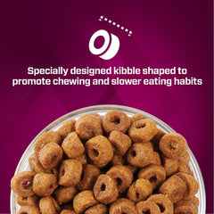 Eukanuba gros plan sur croquettes montrant texture et appétence