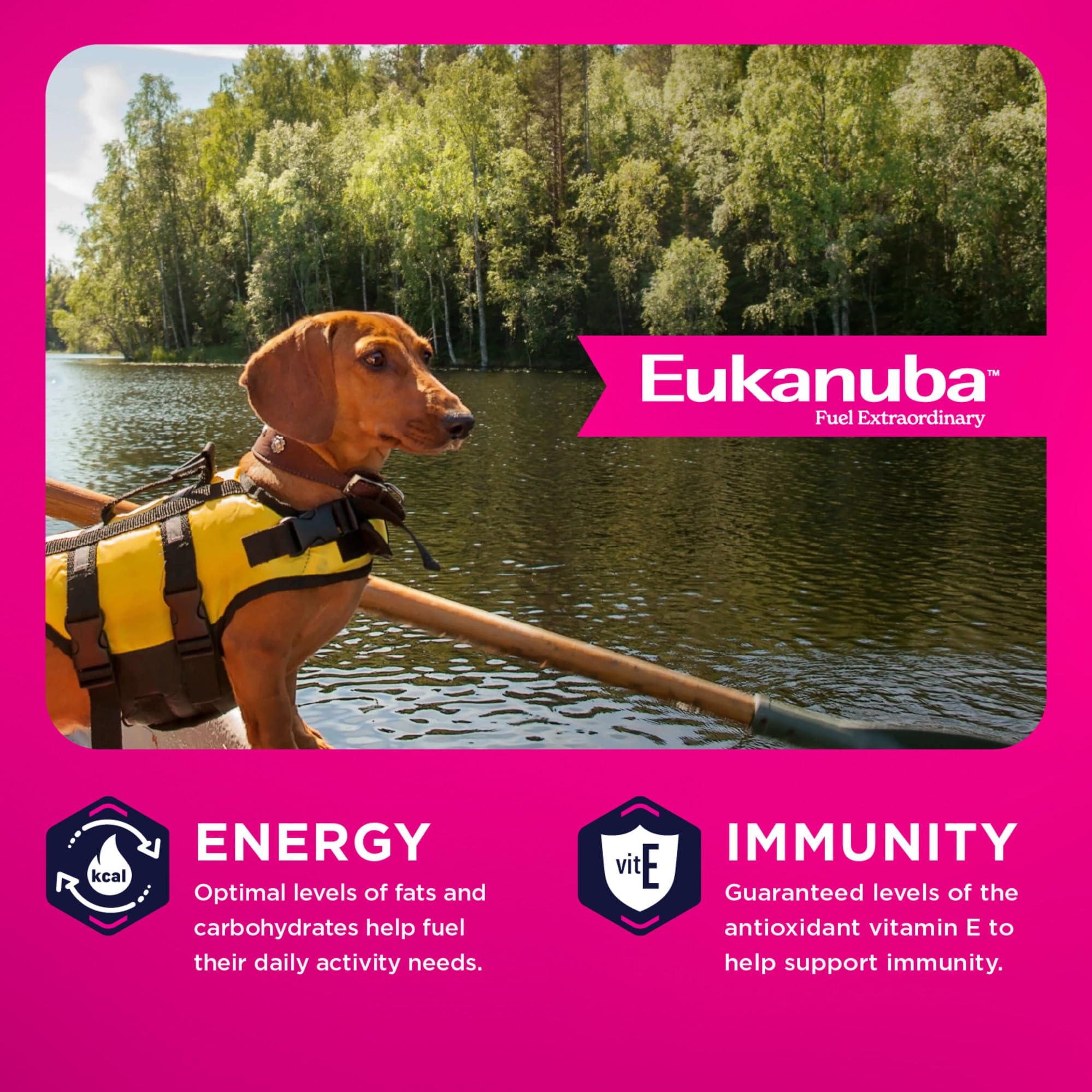 Eukanuba étiquette nutritionnelle en gros plan pour comprendre la composition