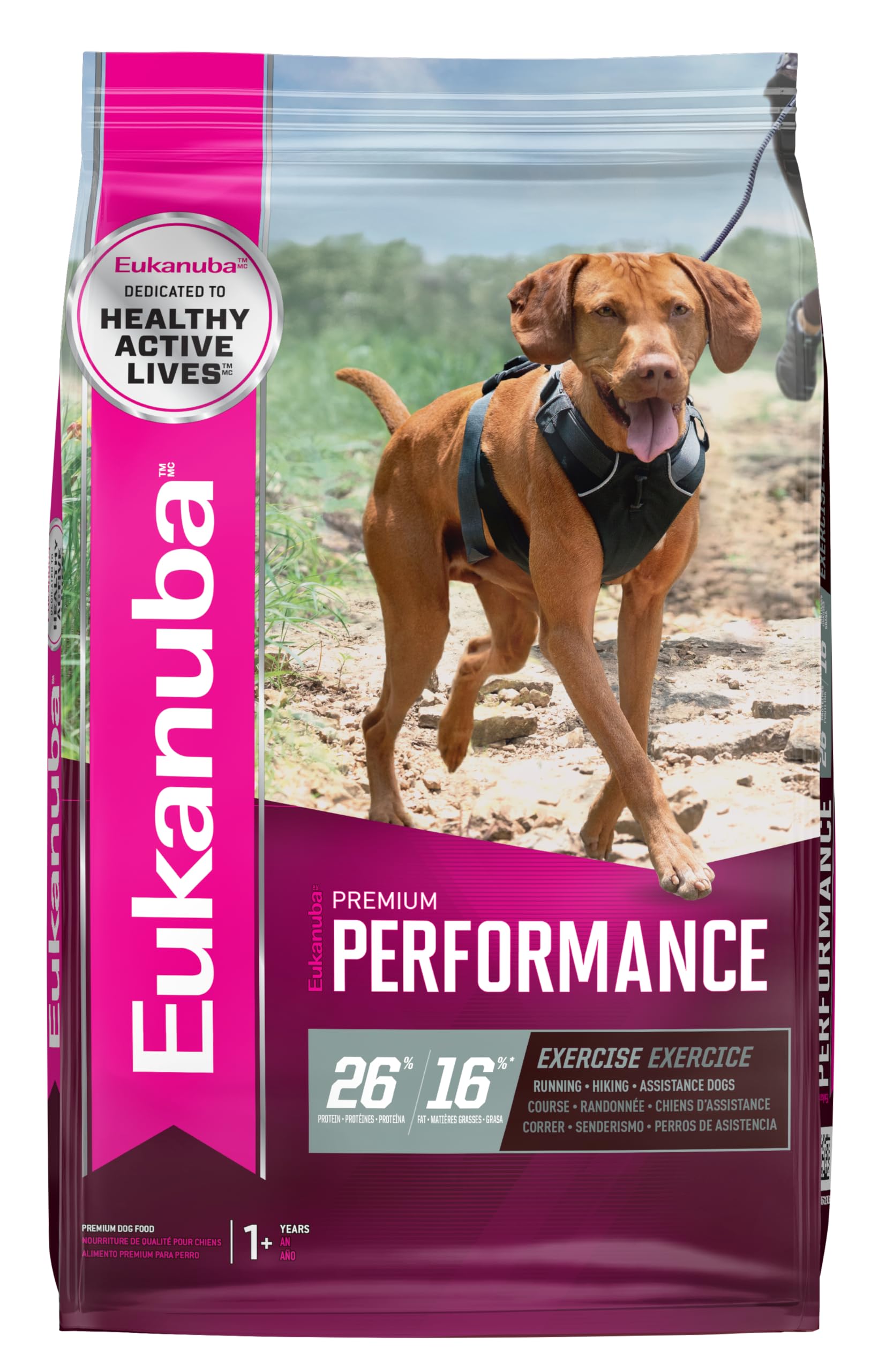 Eukanuba face avant du sac montrant formulation pour chiens actifs