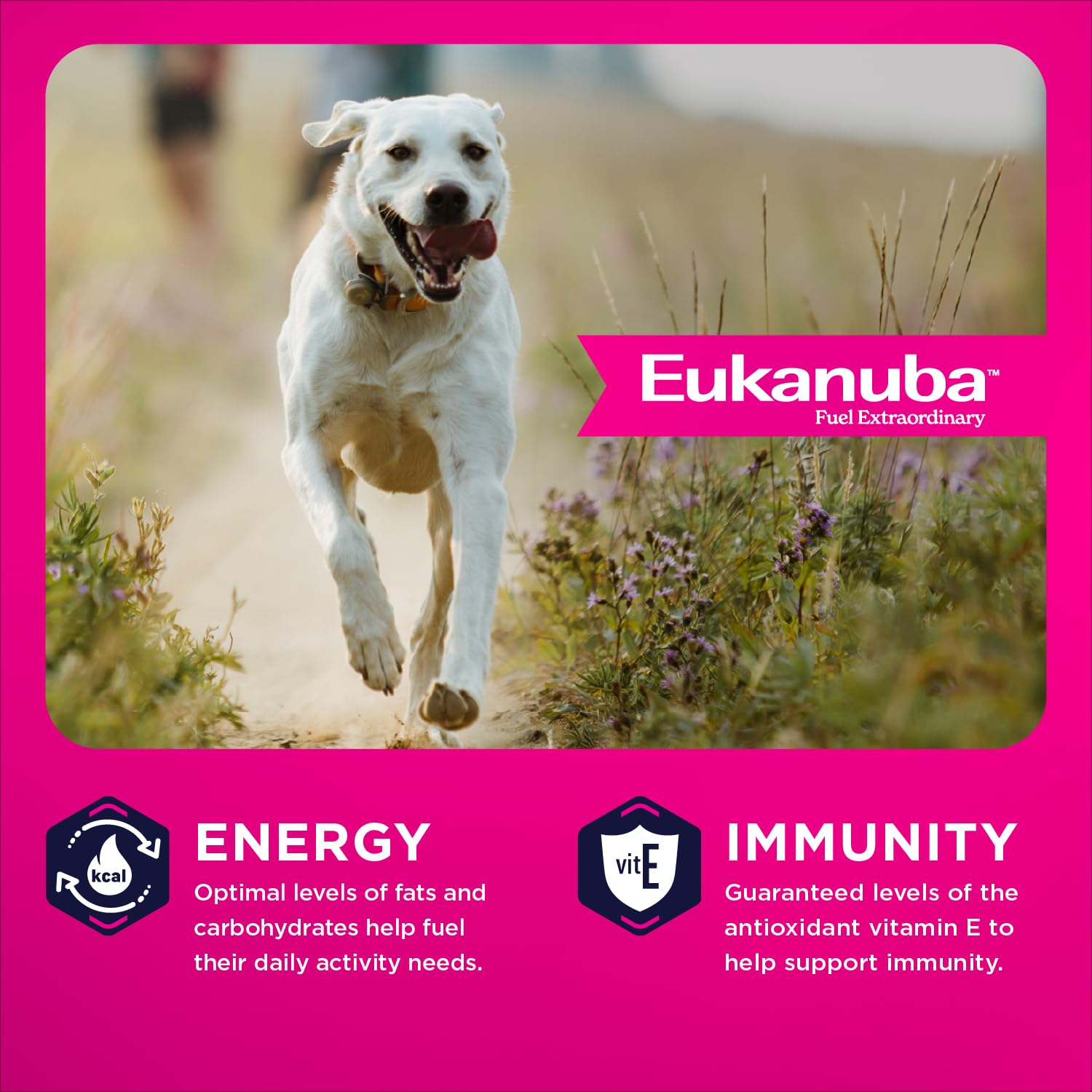 Eukanuba portionneur montrant taille de ration recommandée