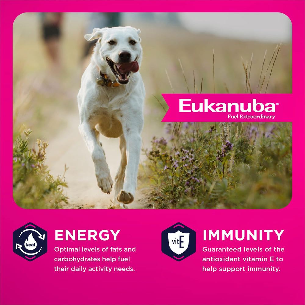 Eukanuba portionneur montrant taille de ration recommandée