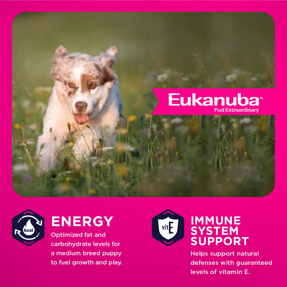 Eukanuba étiquette nutritionnelle détaillée informant sur ingrédients