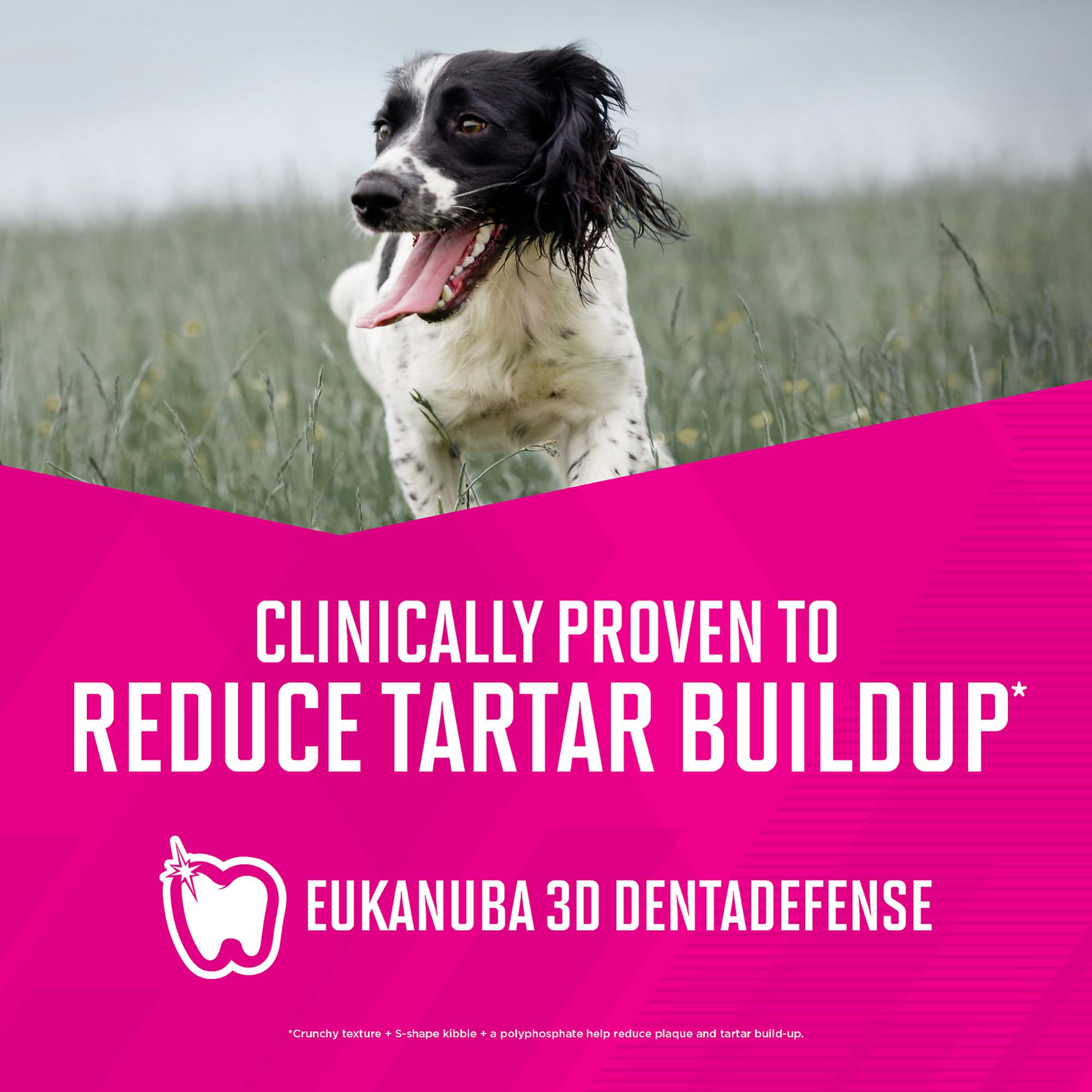Eukanuba sac 28 lb mis à l'échelle pour comparer taille et contenu