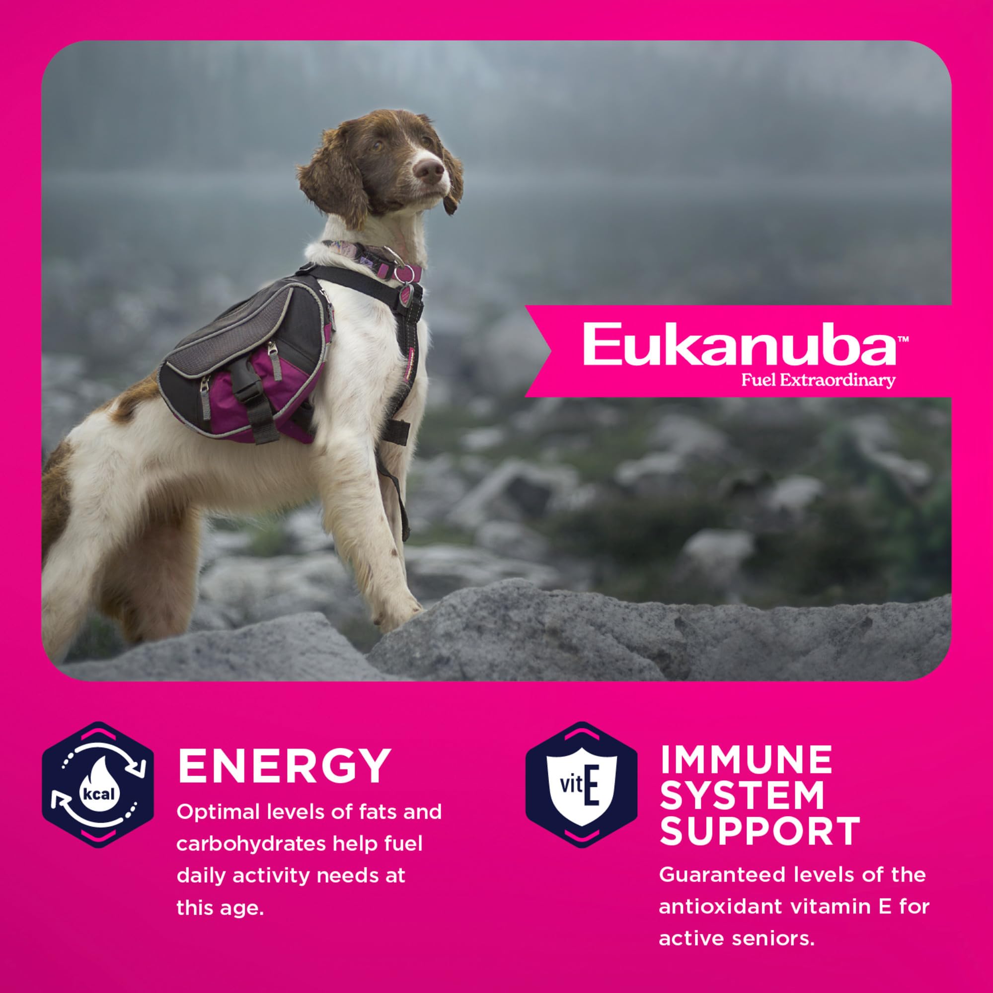 Eukanuba étiquette nutritionnelle claire soulignant ingrédients clés