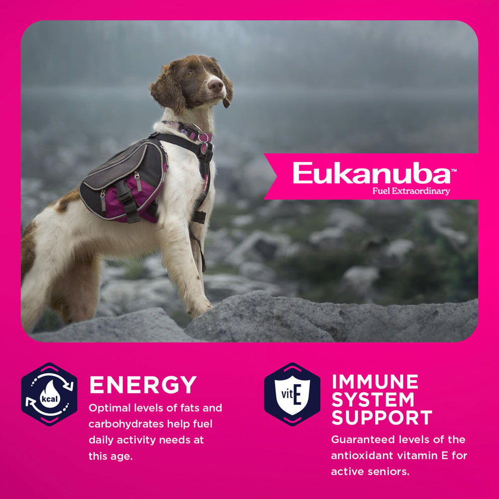 Eukanuba étiquette nutritionnelle claire soulignant ingrédients clés