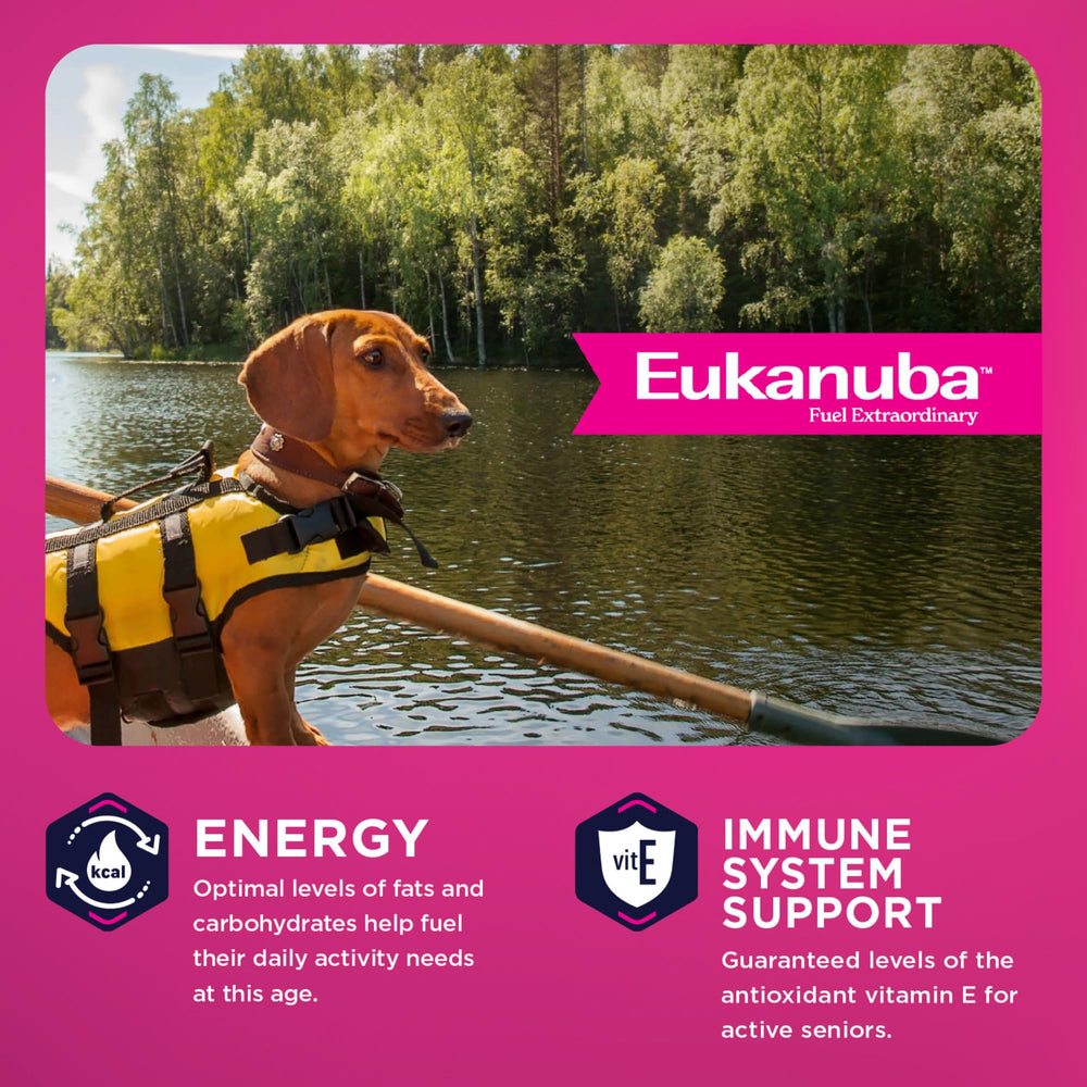 Eukanuba paquet 4,5 lb illustrant format pratique pour petits foyers