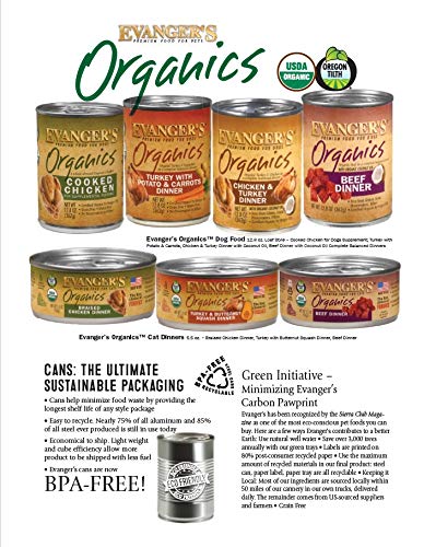 Evanger's chien adulte actif récompensé par un repas nutritif