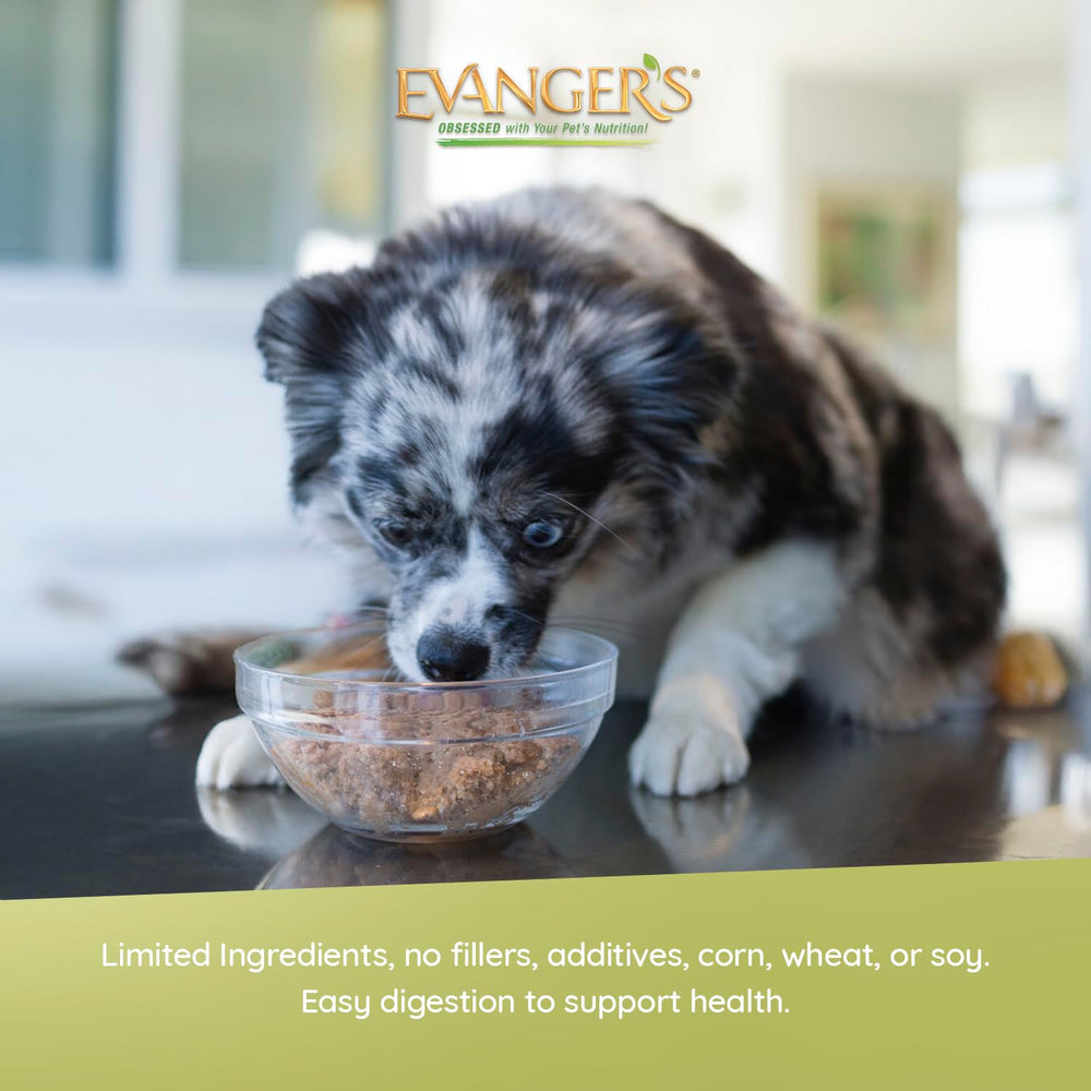 Evanger's texture de la pâtée appétissante favorisant l'acceptation du chien