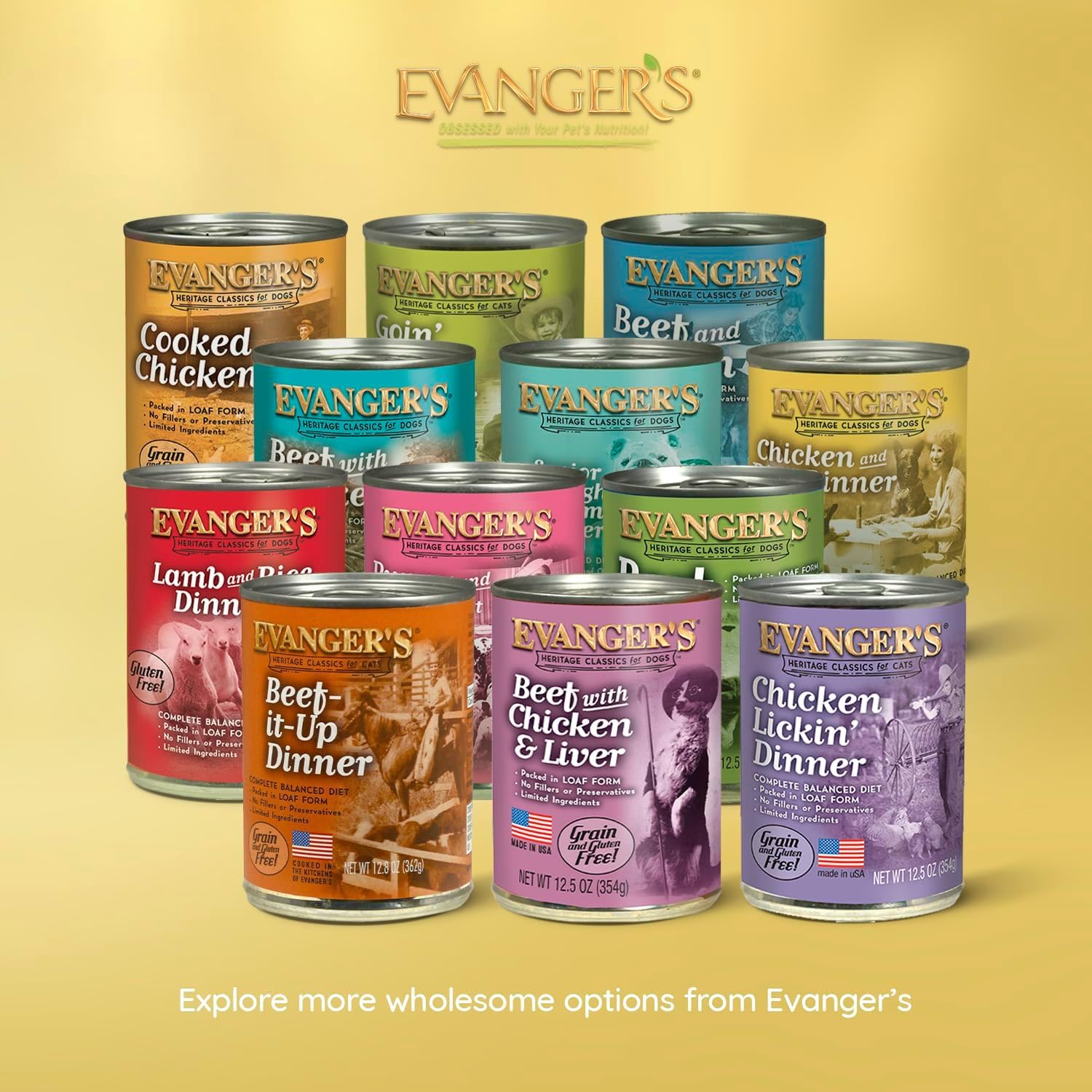 Evanger's chien mangeant la pâtée montrant plaisir et acceptation du repas