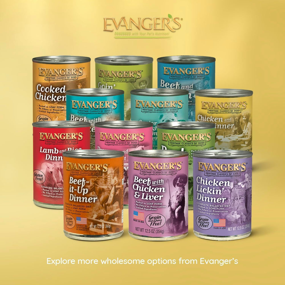 Evanger's chien mangeant la pâtée montrant plaisir et acceptation du repas