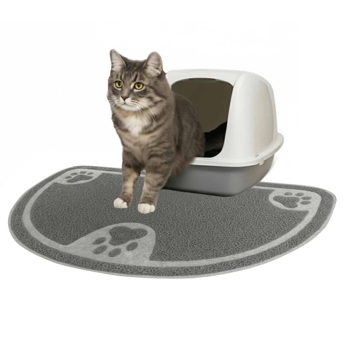 Evelots tapis avant gris montrant protection du sol