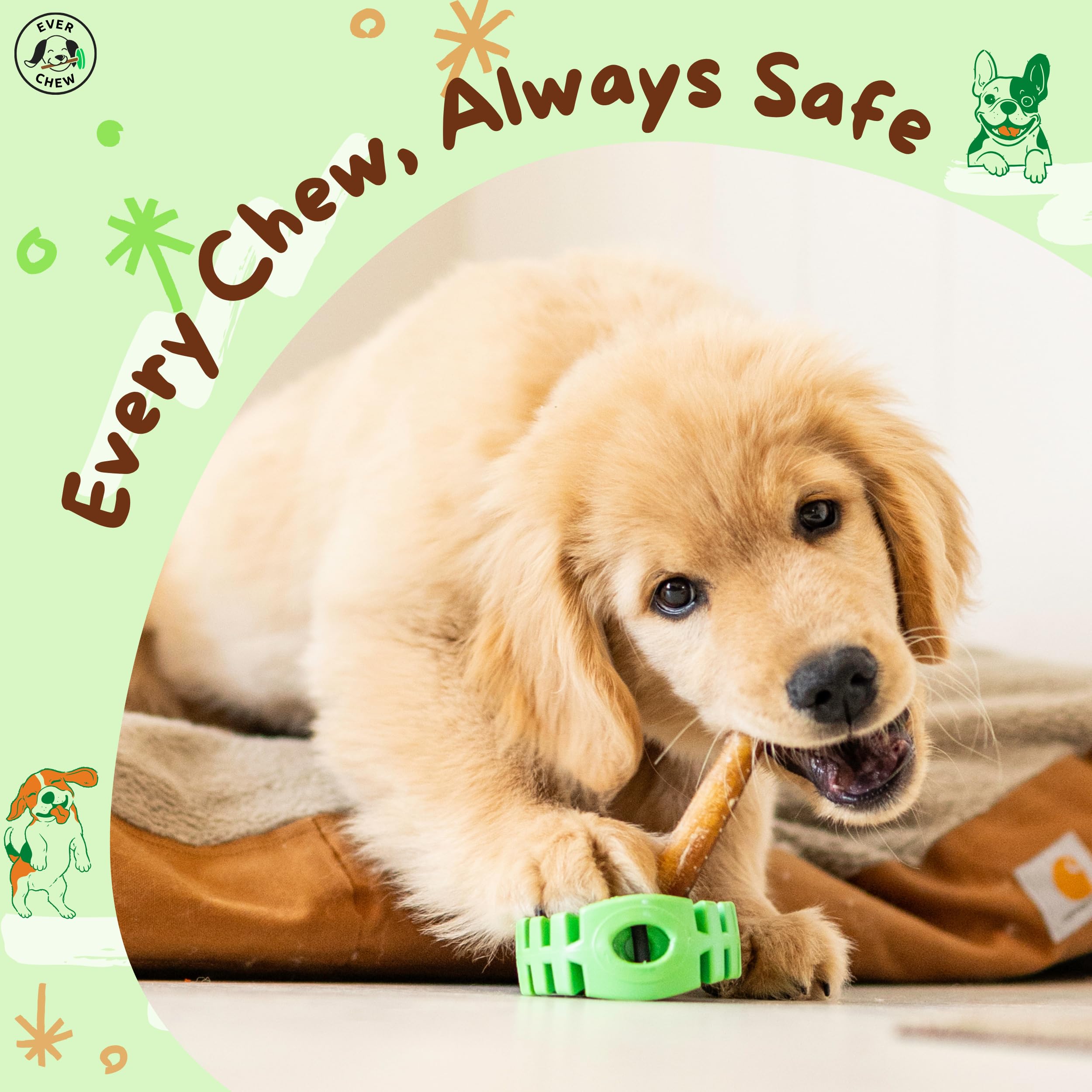 everchew chien mâchant le porte-bully stick sécurisé sous surveillance