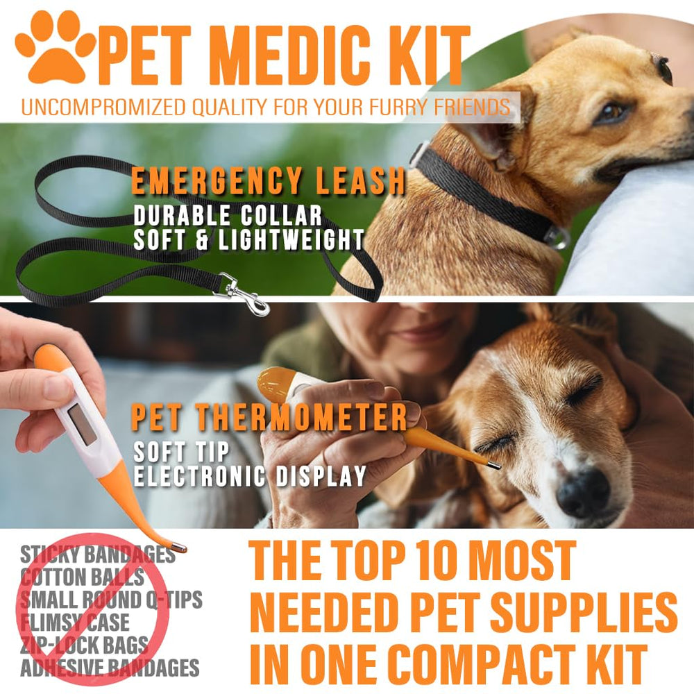 Soins en extérieur EVERLIT CARE appliqués sur chien pour stabiliser