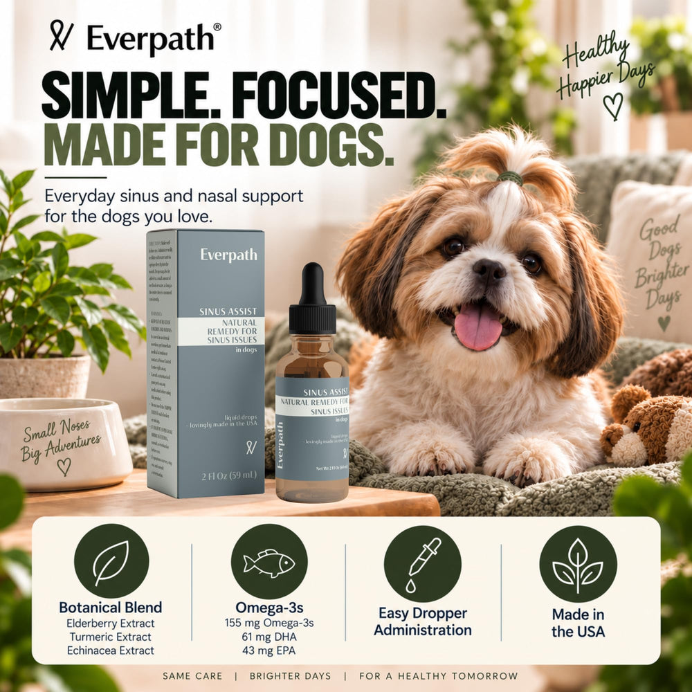 Everpath en contexte domestique près d'un chien illustrant bien-être quotidien