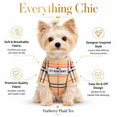 Everything Chic Chihuahua portant le FurberryTee pour style quotidien