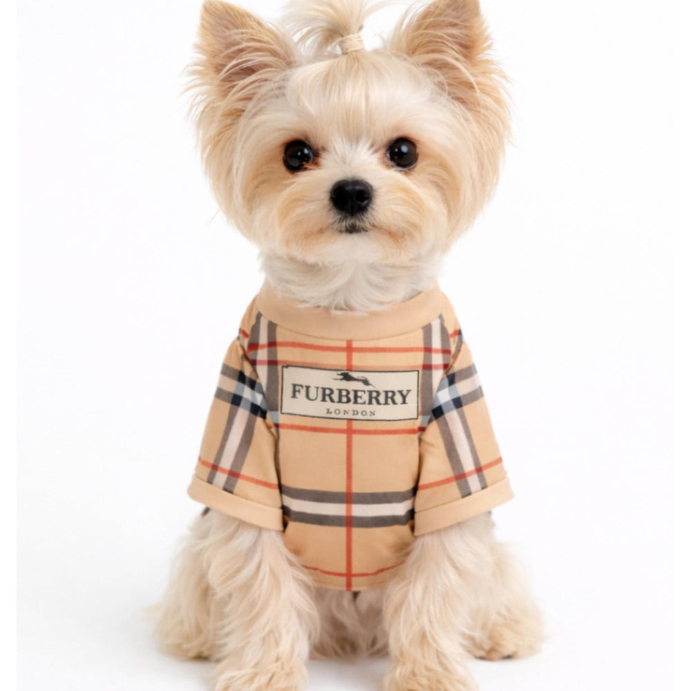Everything Chic enfilage facile sur chiot pour gain de temps quotidien