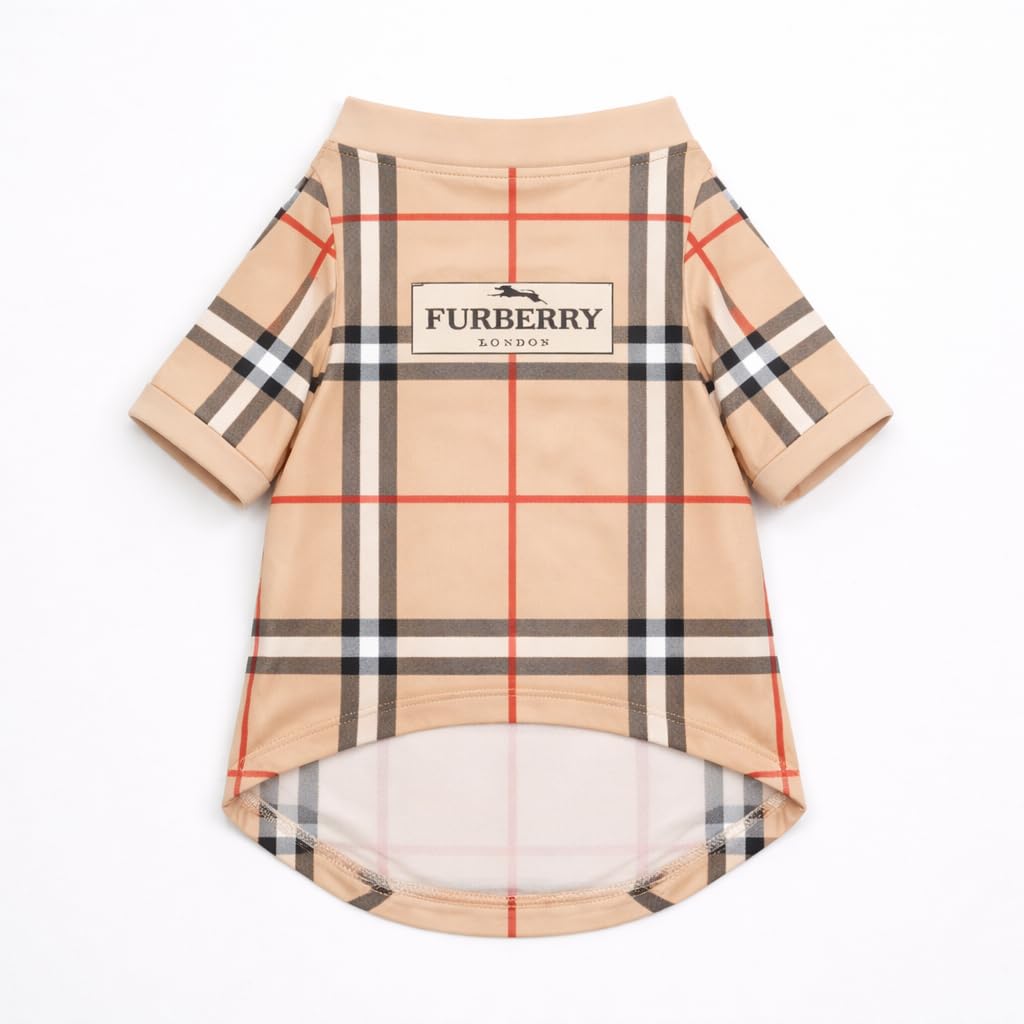 Everything Chic French Bulldog portrait en FurberryTee pour photos soignées