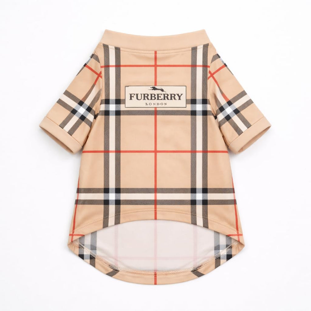 Everything Chic French Bulldog portrait en FurberryTee pour photos soignées