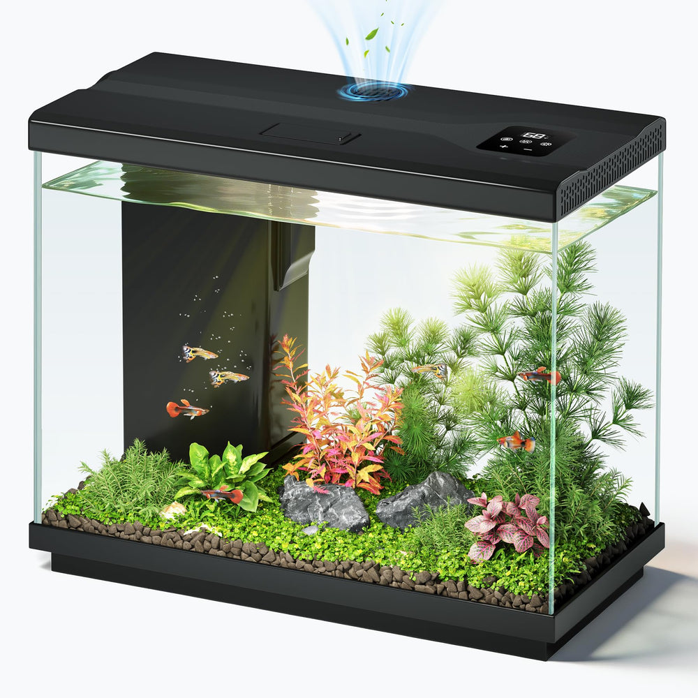EVIEUN vue avant du petit aquarium noir, gain d'espace visuel