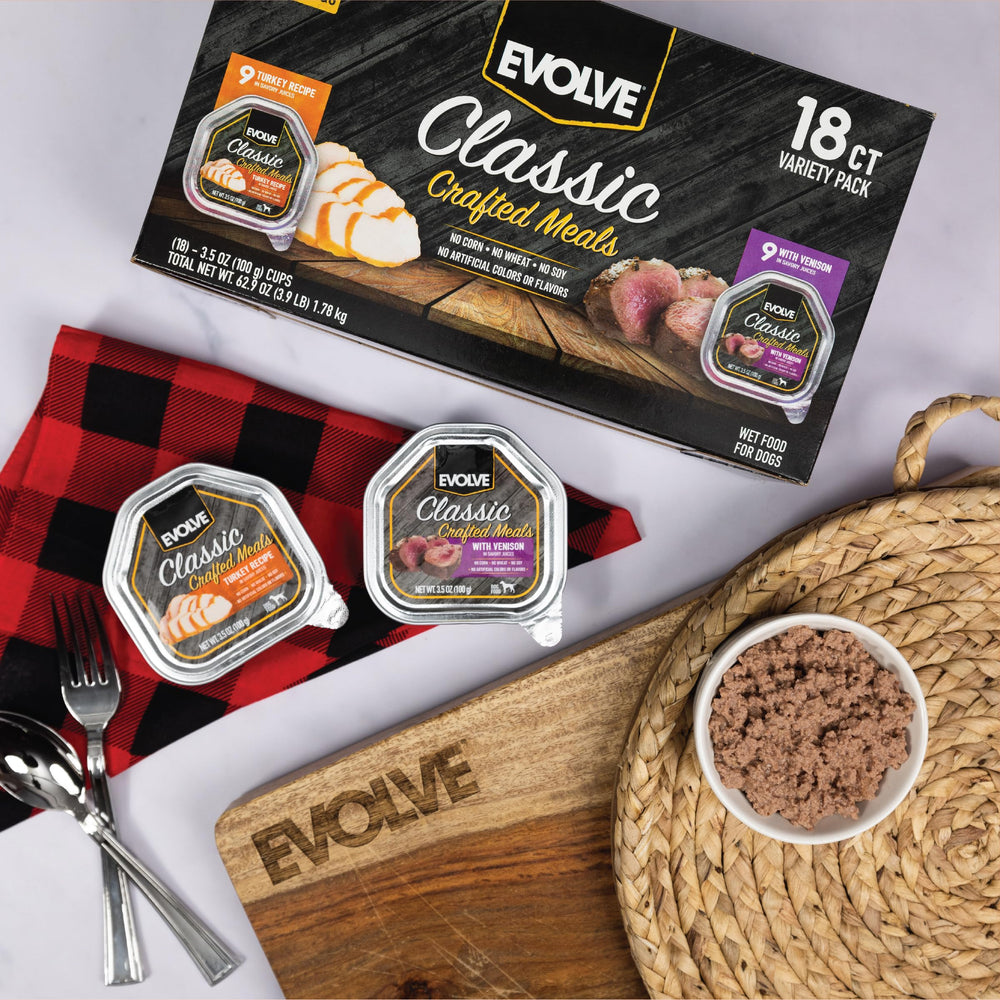 Evolve chien mange dans une assiette montrant acceptation et plaisir