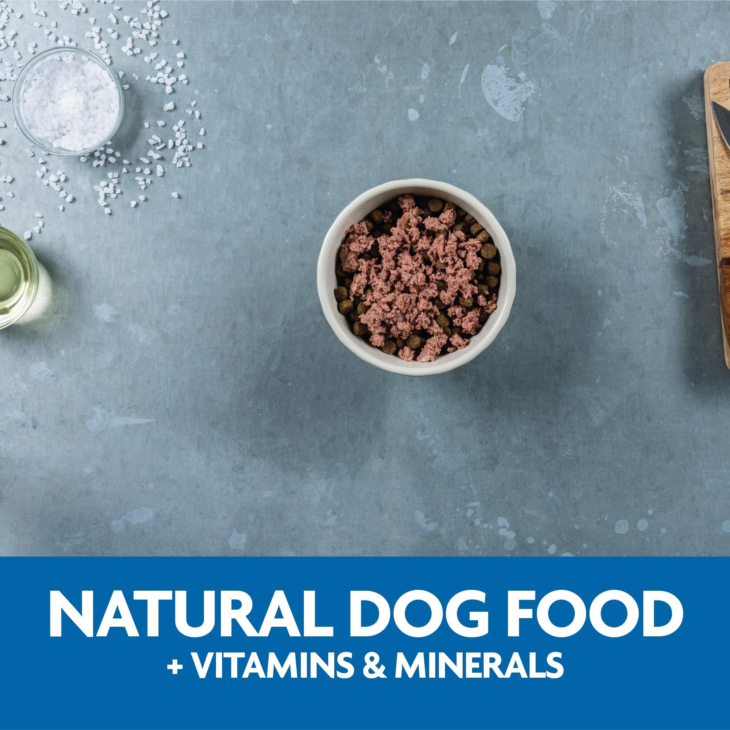 Evolve scène lifestyle chien mangeant, repas attractif et pratique