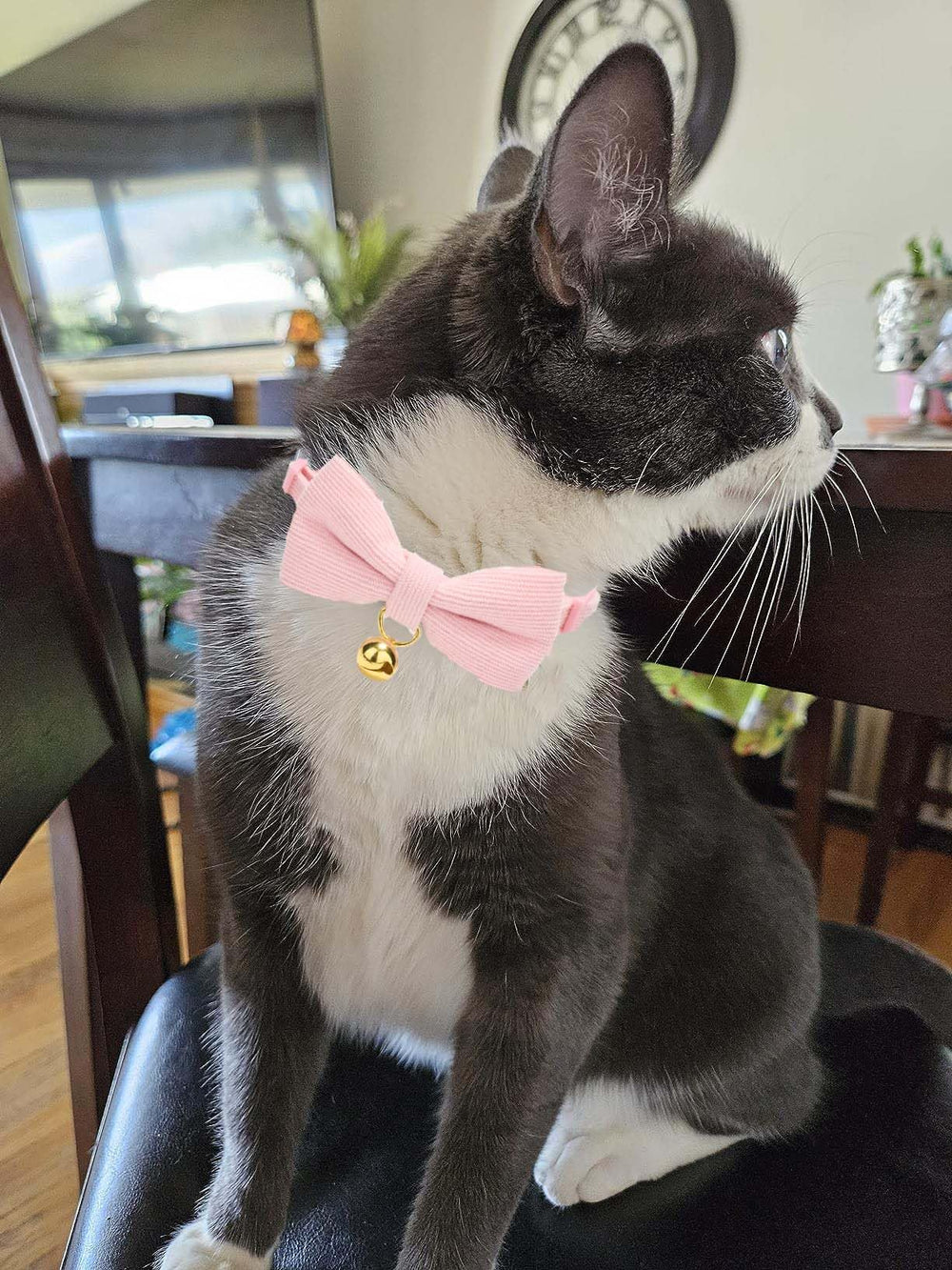 Ewinoom clochette et attache métallique pour repérer le chat en intérieur