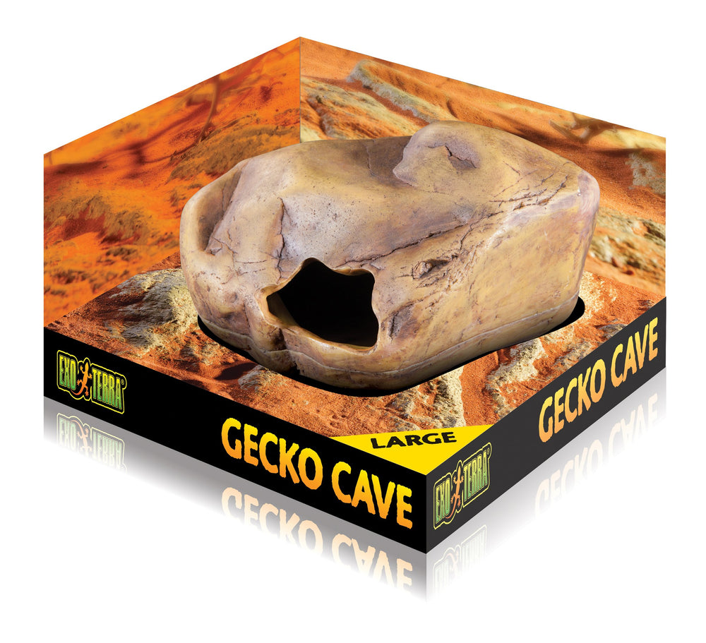 Exo Terra grotte installée dans terrarium montrant refuge humide bénéfique