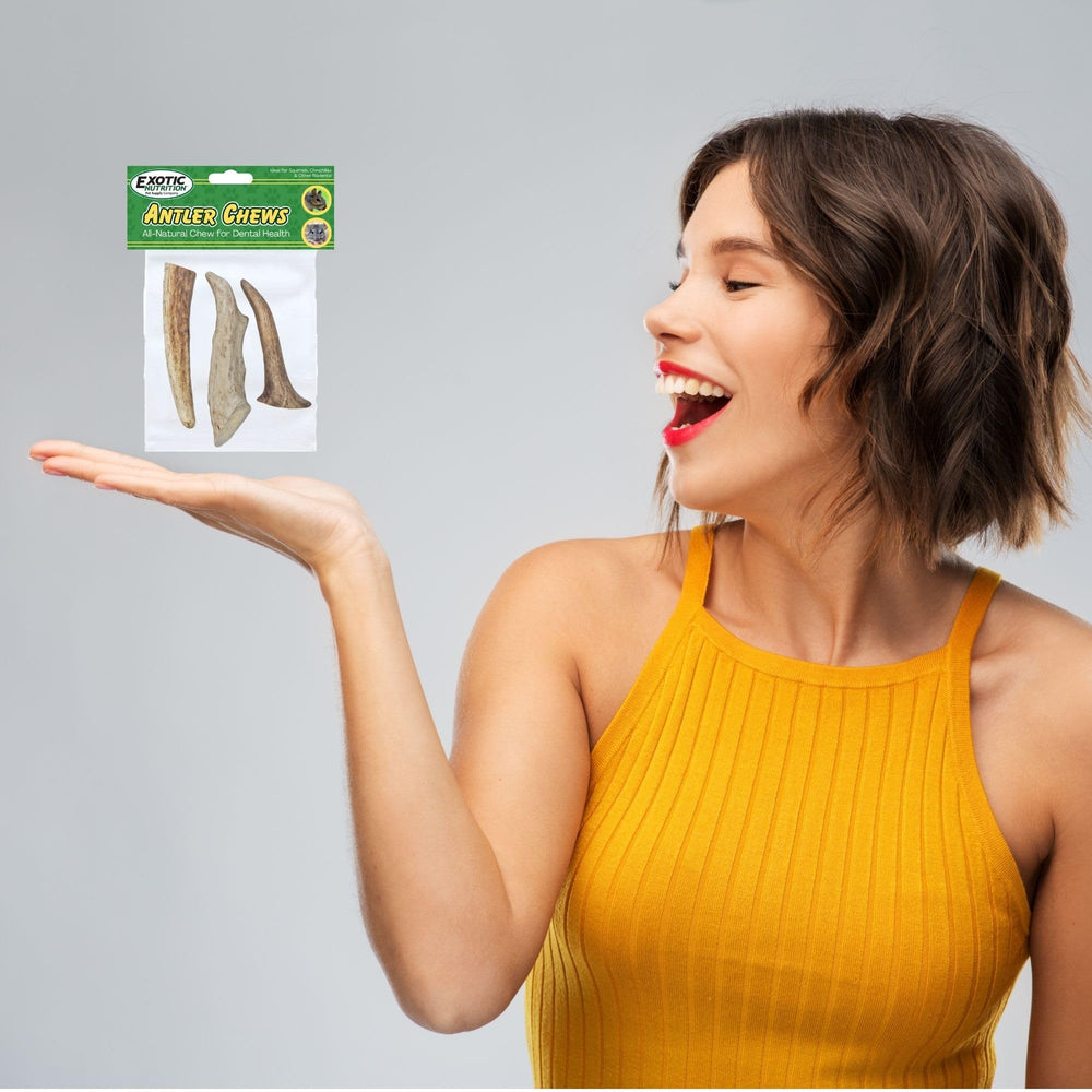 Exotic Nutrition surface riche en minéraux, source naturelle de calcium