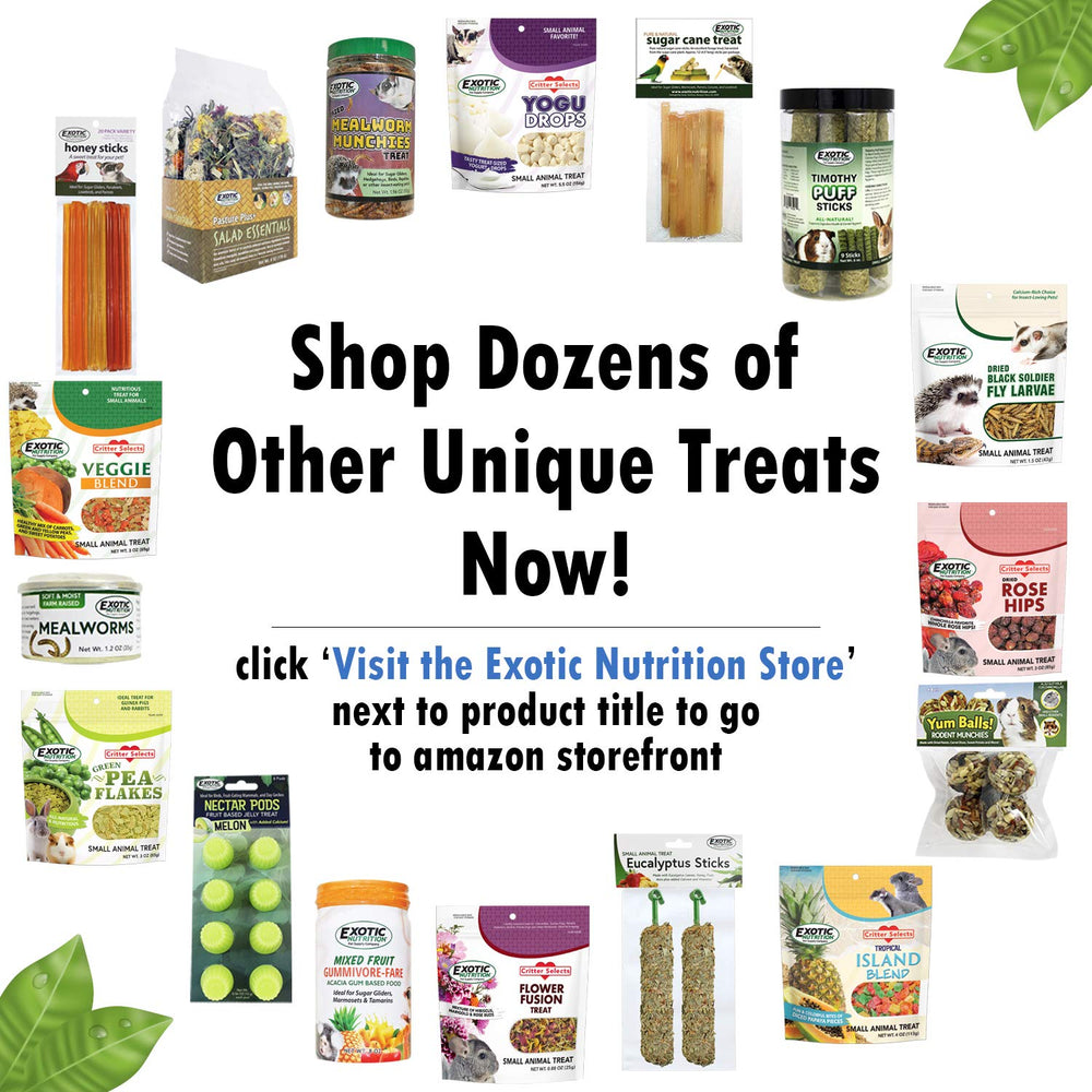 Exotic Nutrition bord irrégulier en gros plan, favorise limage naturel des dents