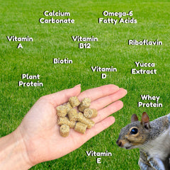 Exotic Nutrition gros plan sur la texture du bloc pour meilleure appétence