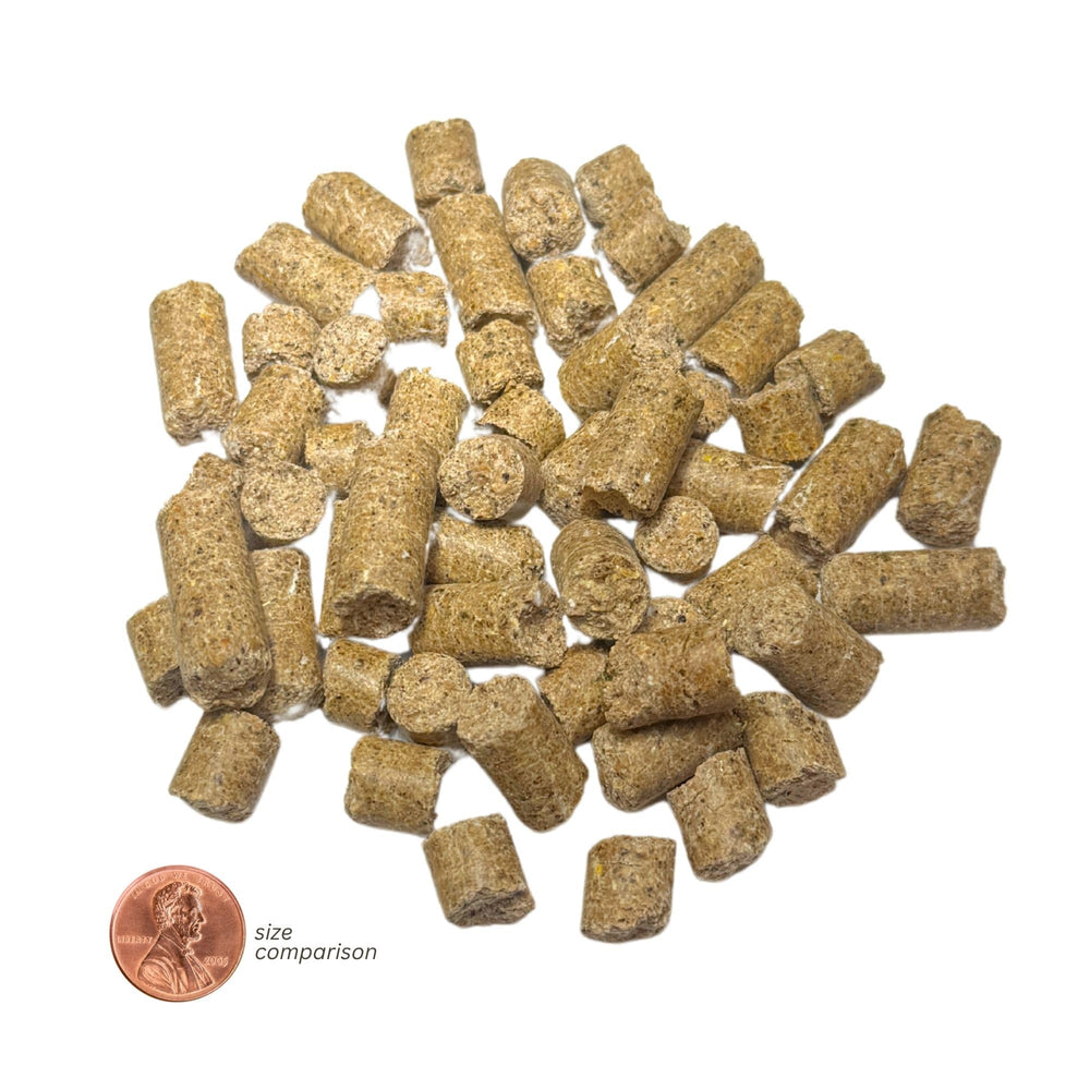 Exotic Nutrition zoom sur ingrédients naturels montrant transparence et qualité