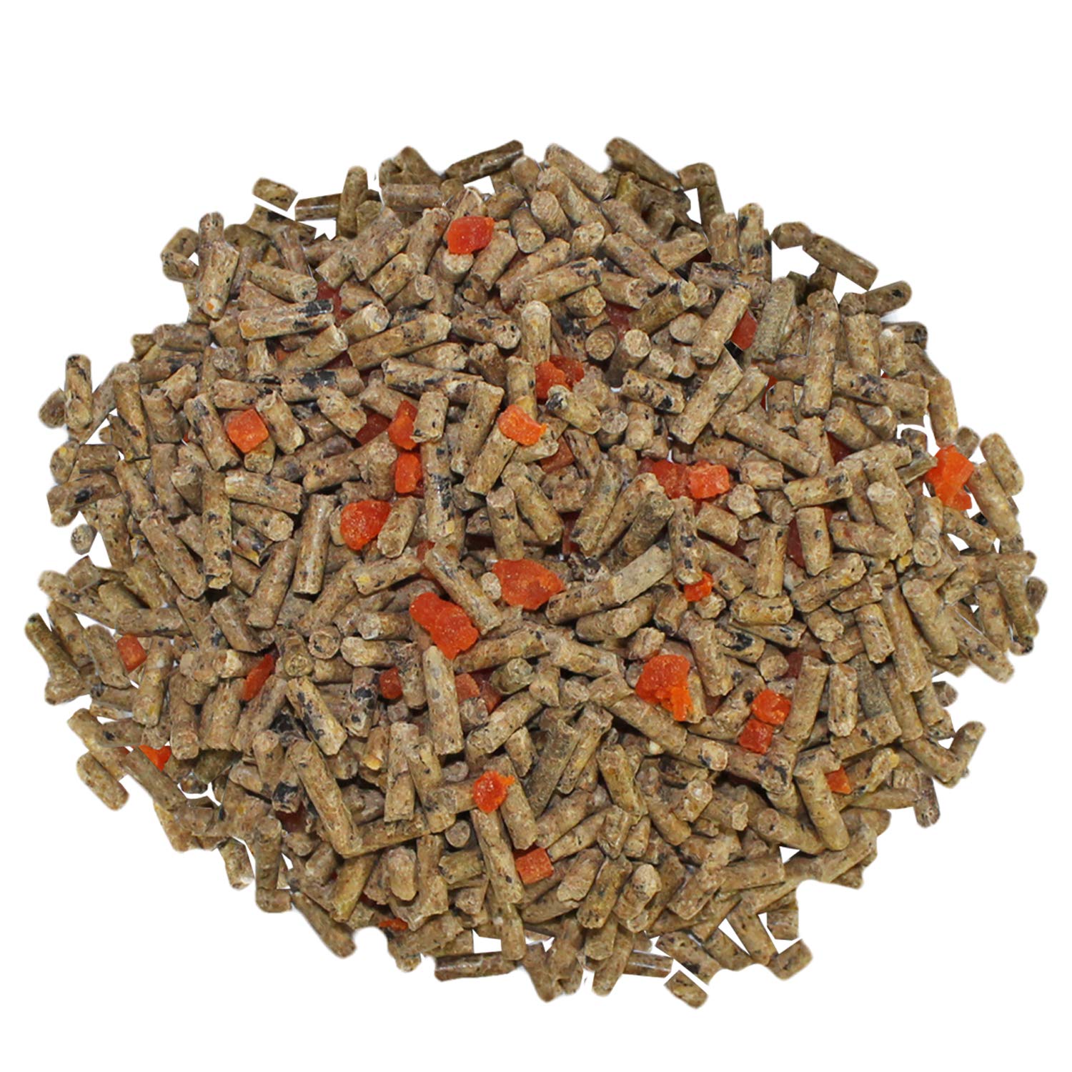 Exotic Nutrition comparaison taille dans une main pour visualiser quantité de 2 lb