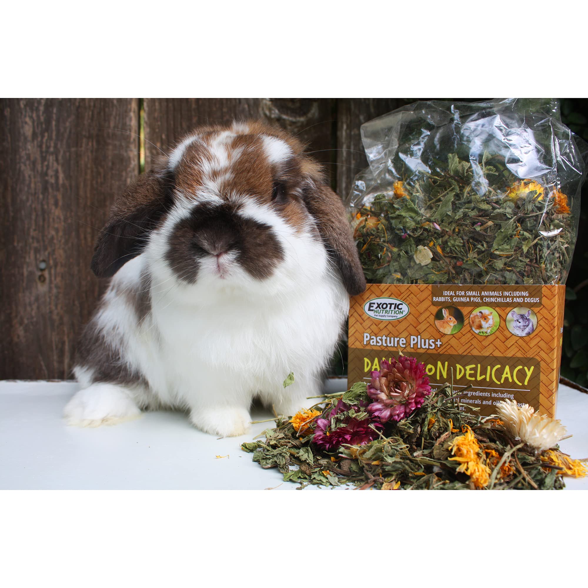 Exotic Nutrition comparaison taille poignée pour dosage adapté selon animal