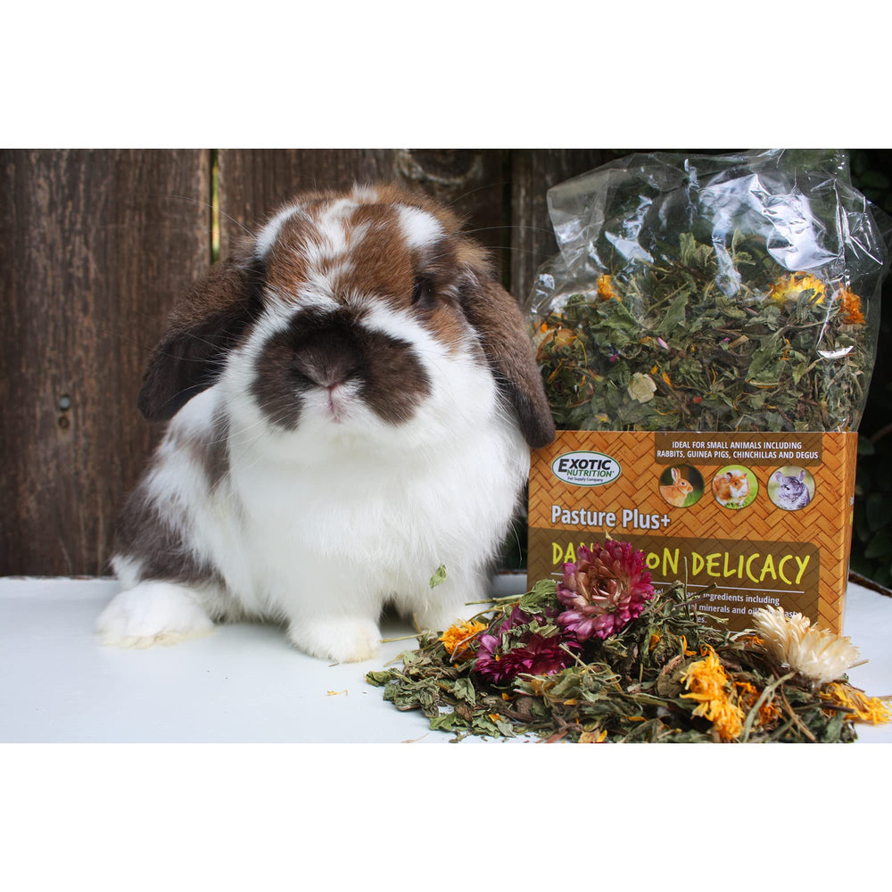 Exotic Nutrition comparaison taille poignée pour dosage adapté selon animal