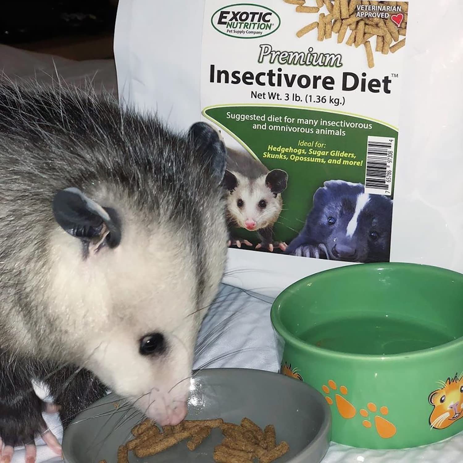 Exotic Nutrition granulés versés dans une coupelle pour un service facile et propre