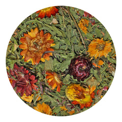Exotic Nutrition contenu avec feuilles et fleurs séchées, appétence visible