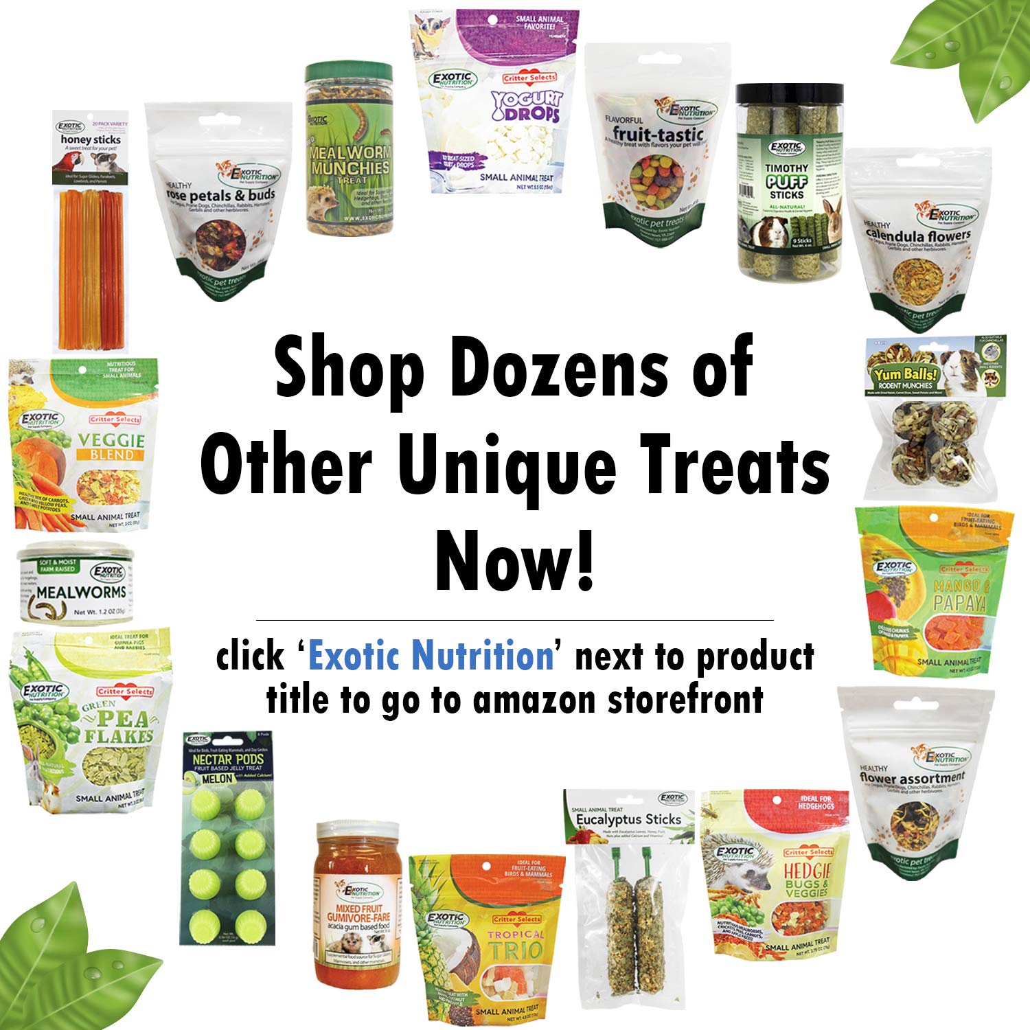 Exotic Nutrition étiquette nutritionnelle claire indiquant ingrédients naturels