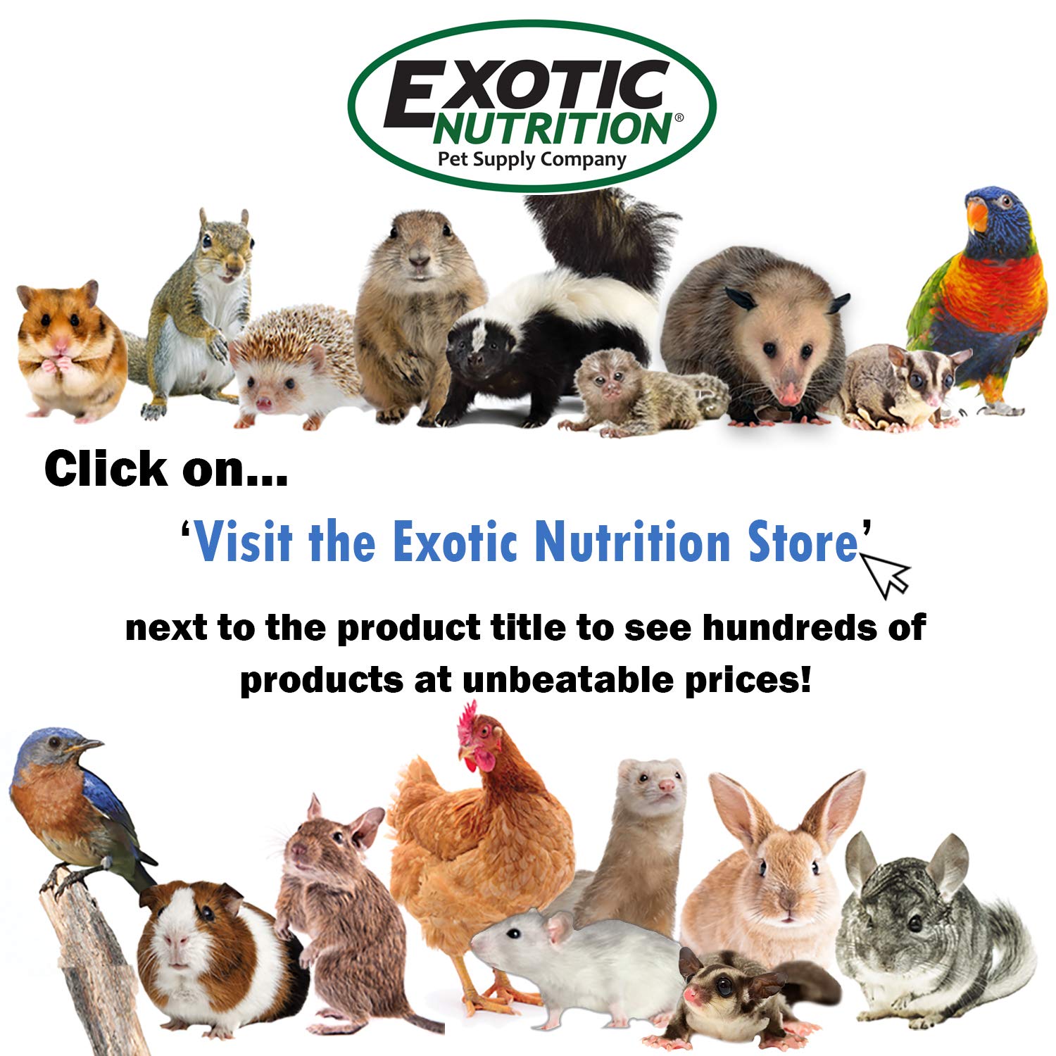 Exotic Nutrition pot 2 oz posé près d'une pièce pour comparaison d'échelle