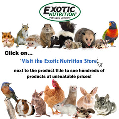 Exotic Nutrition pot 2 oz posé près d'une pièce pour comparaison d'échelle